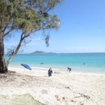 砂浜のパラソル