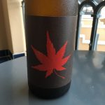 ガラスのコップに入った飲み物