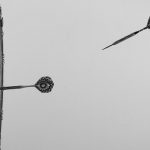 時計台の白黒写真