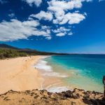 砂浜にいる人たち