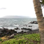 海の上を歩いている