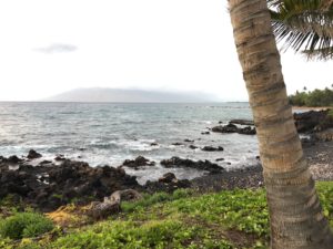 海の隣に立っている