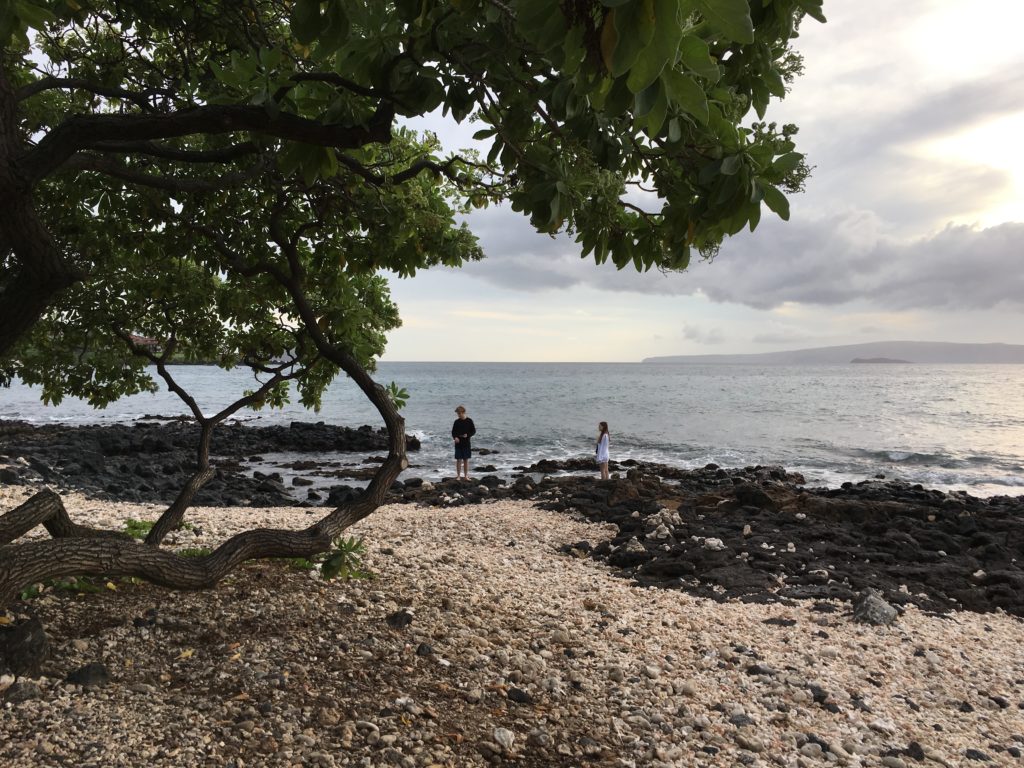 砂浜を歩く人々