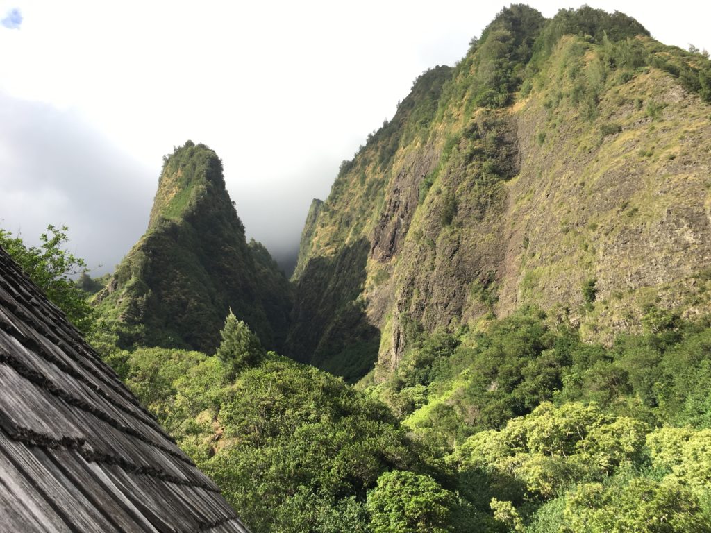 森の中にある山