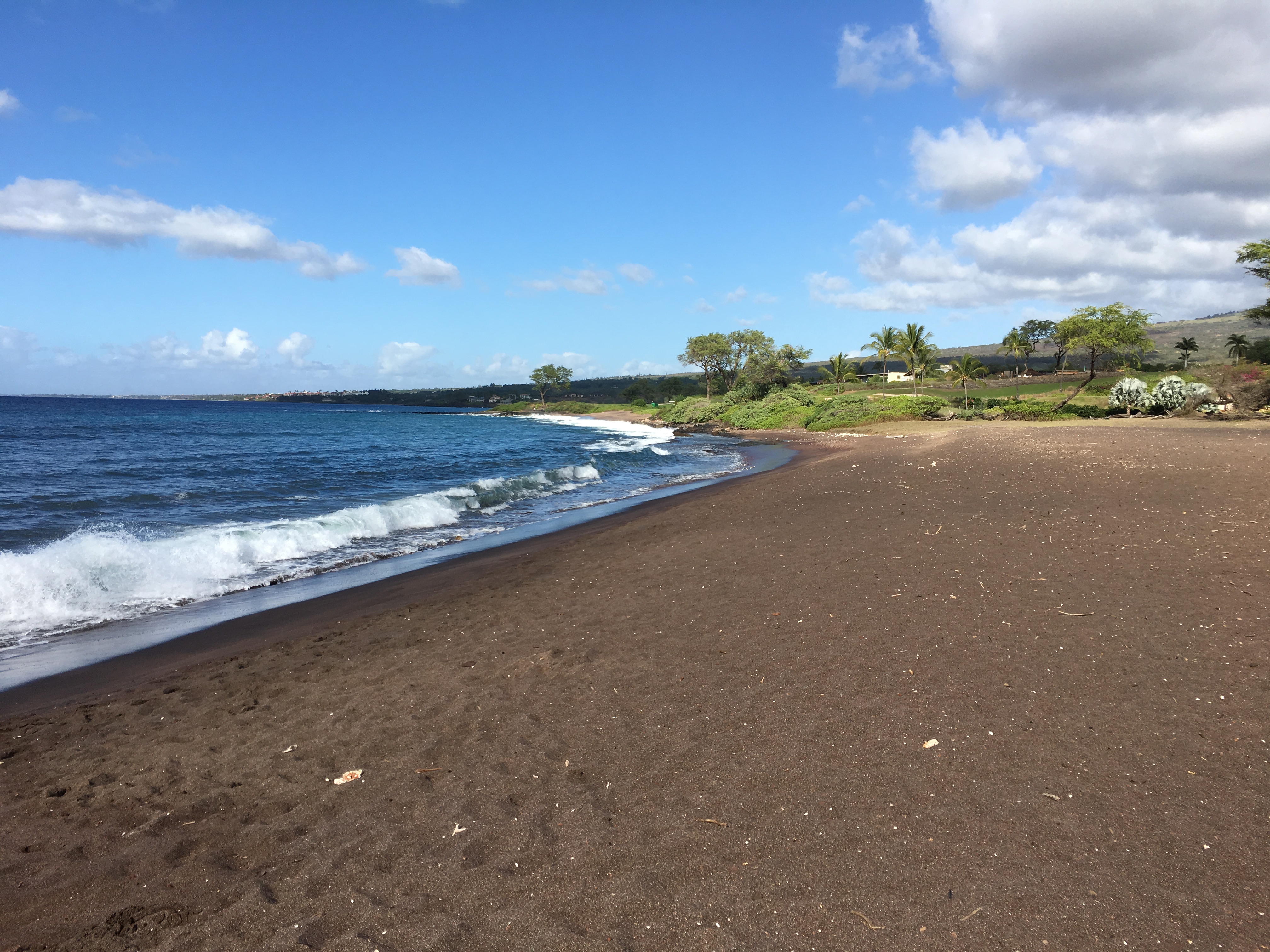 砂浜と海