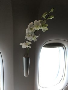 花瓶に生けられた白い花