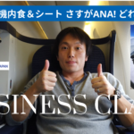 飛行機の座席に座っている女性