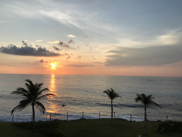 夕日と木々と海