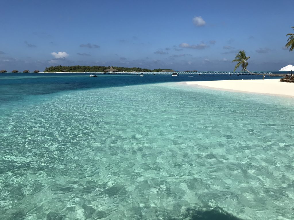 海に浮かんでいる