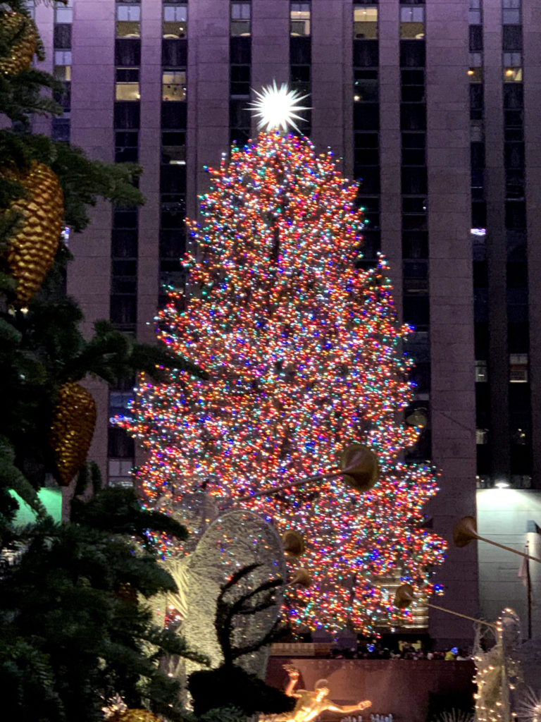 建物の前に置かれたクリスマスツリー