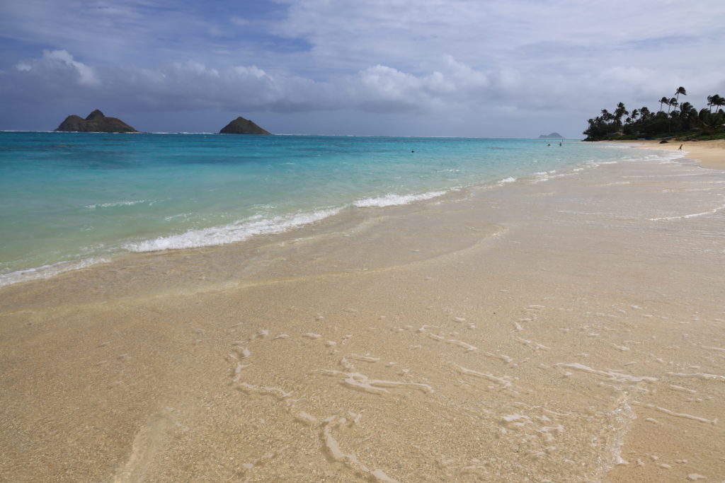 砂浜と海