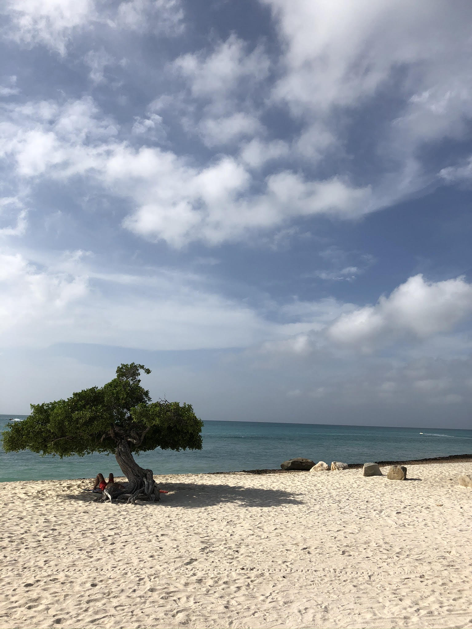 砂浜と海