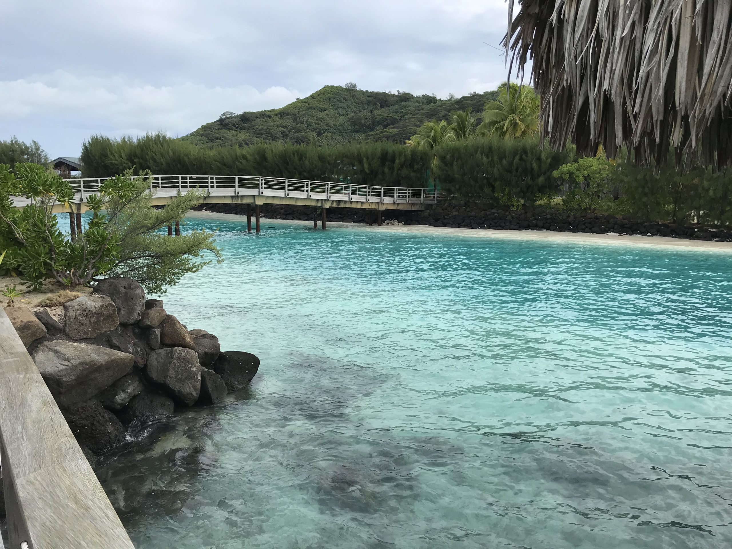 岩の上にあるプール