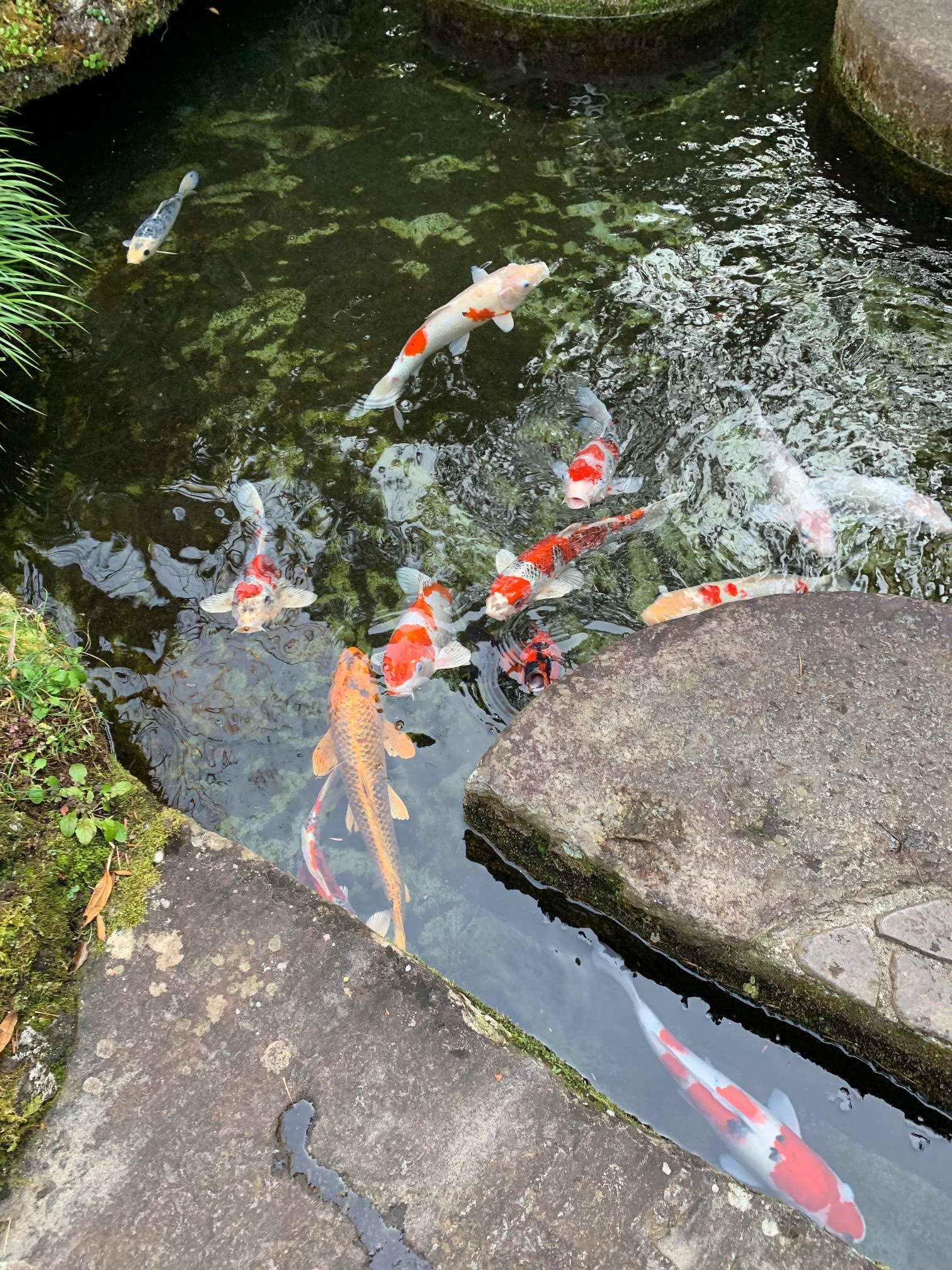 水の中にある岩