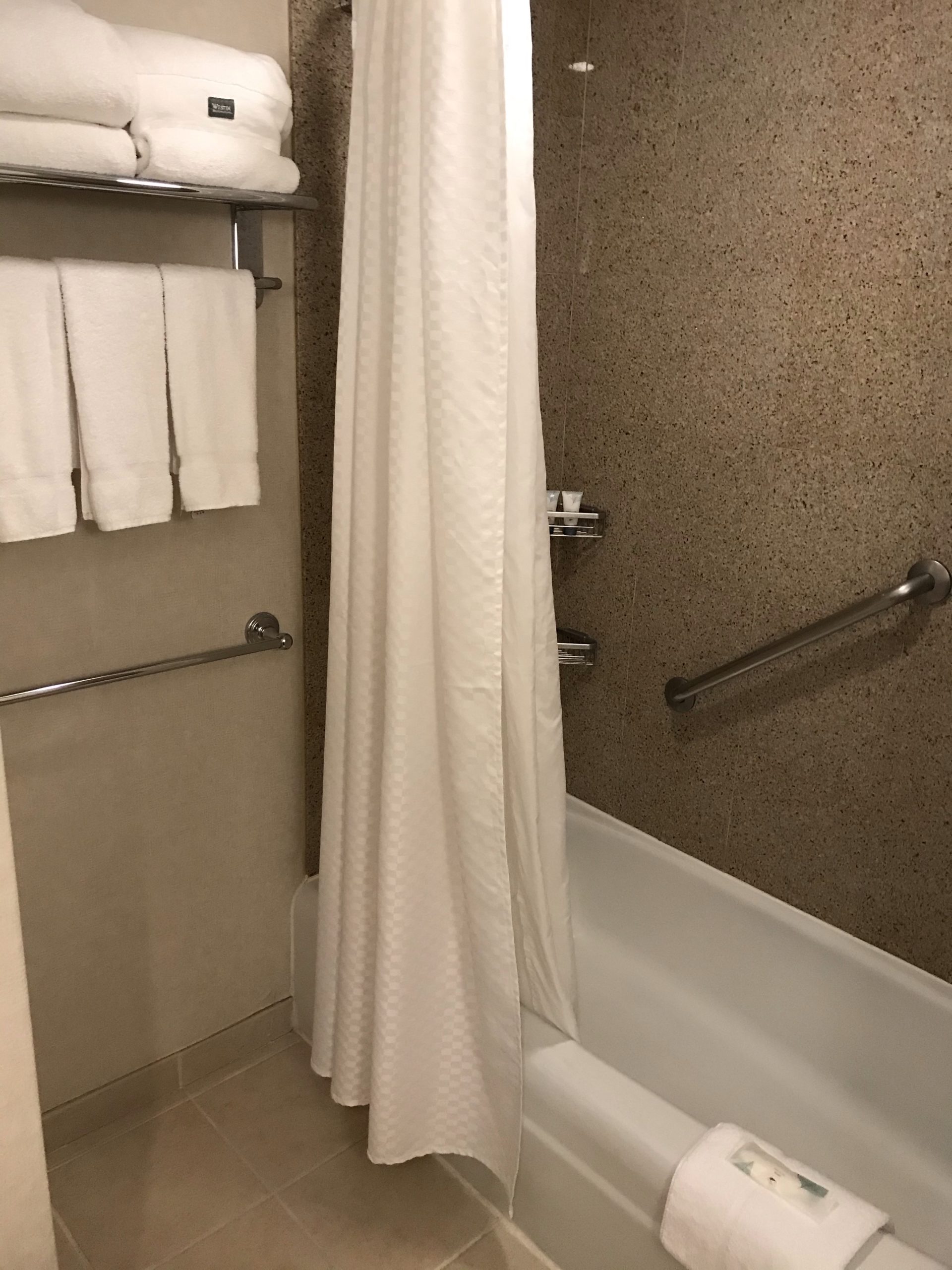 シャワーカーテンがかかったバスルーム