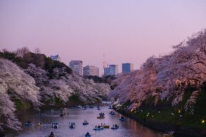 川と山の景色