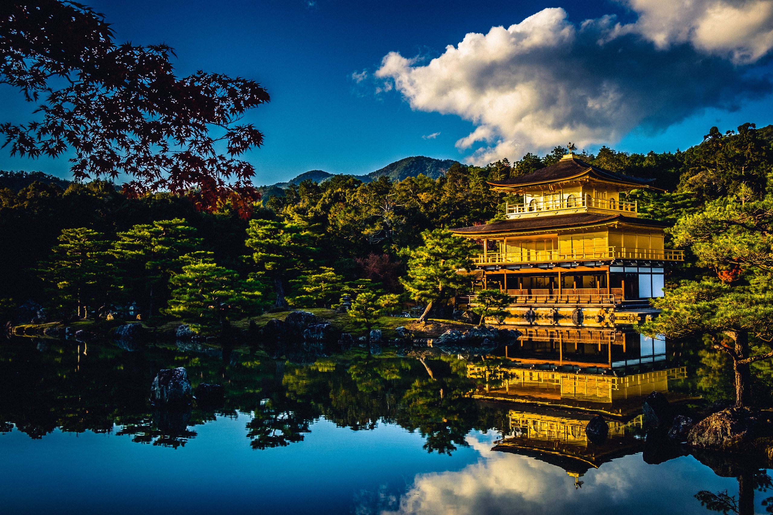 池の風景