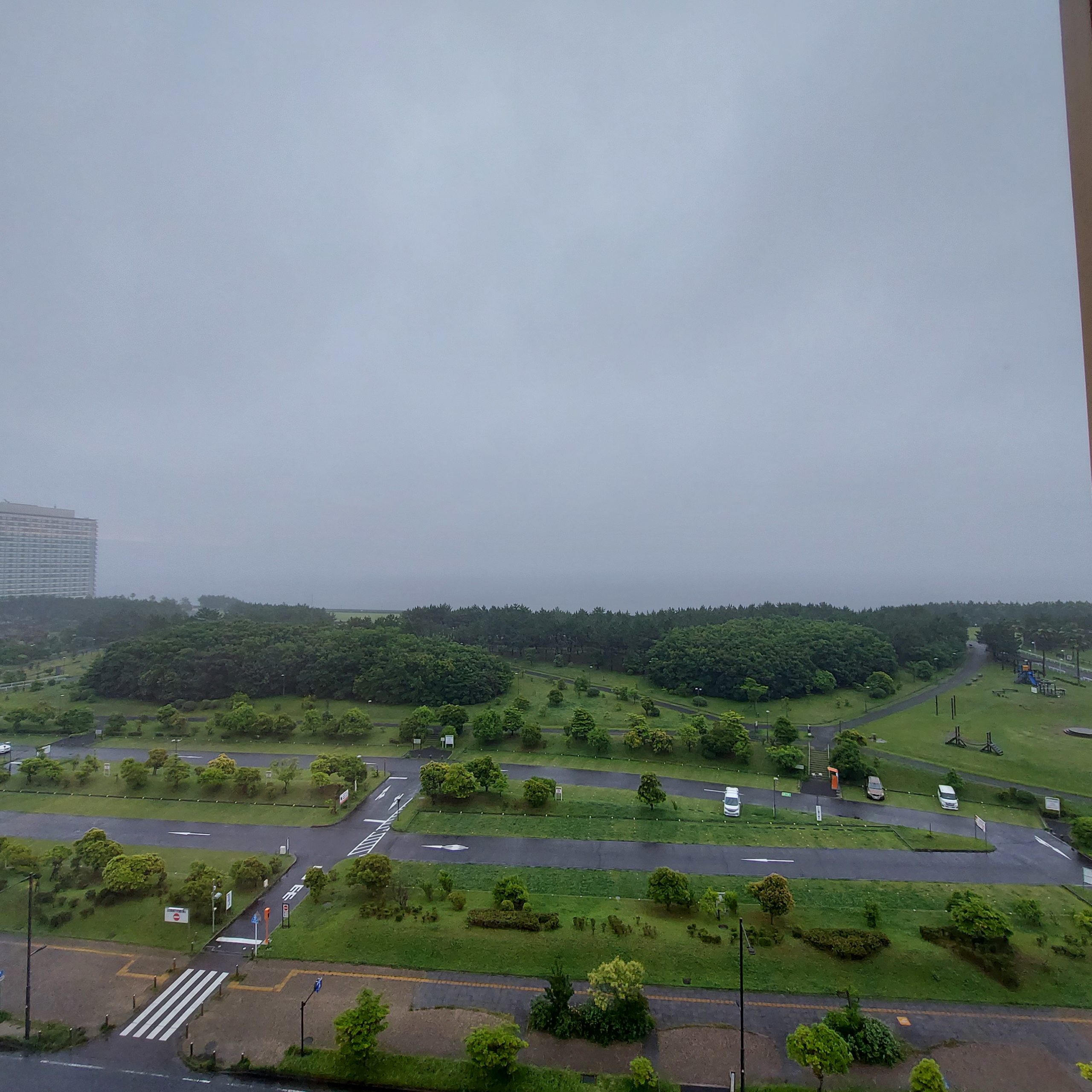 丘の上に座っているキリン