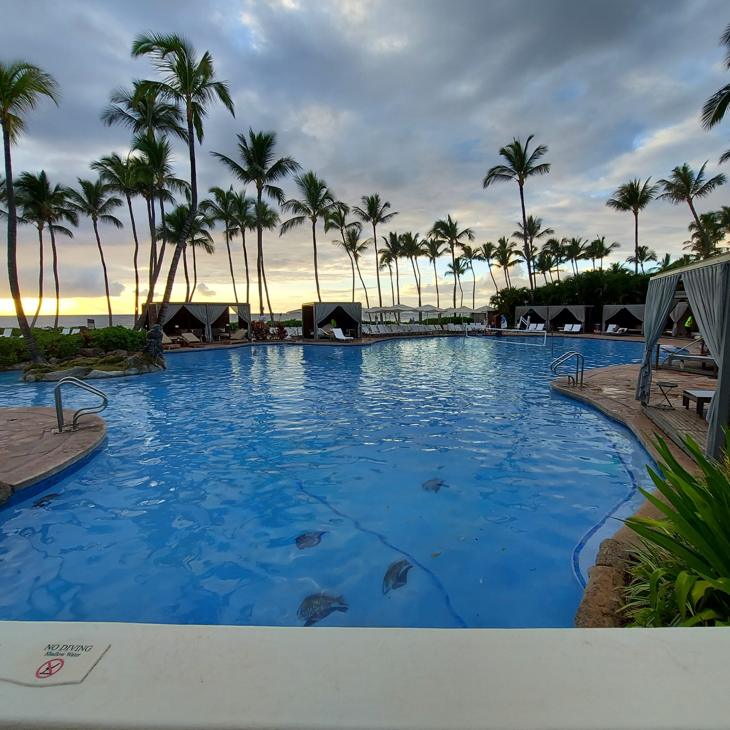 Grand Wailea (グランドワイレア)滞在記 | アメリカ在住陸マイラー