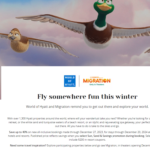 グラフィカル ユーザー インターフェイス, Web サイト