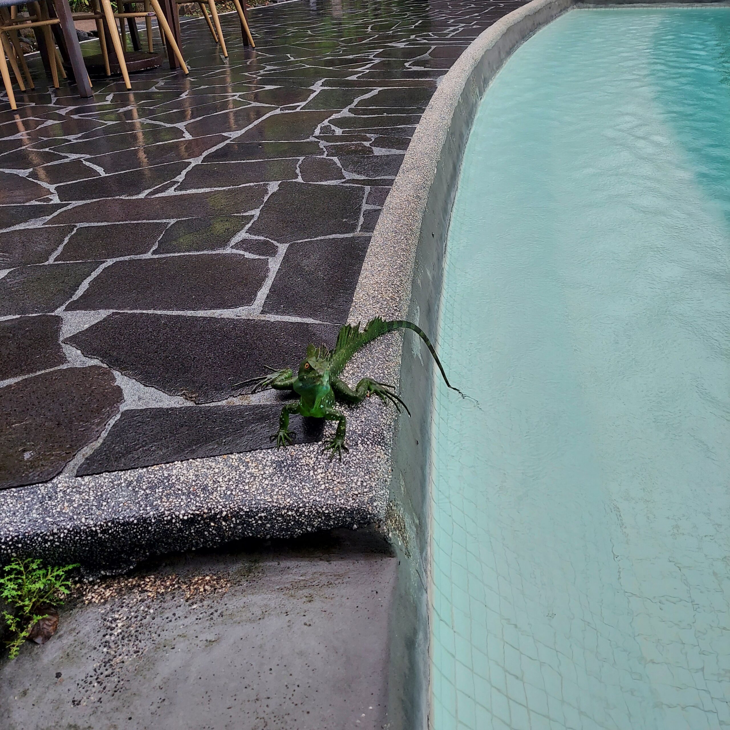 水の中を流れる川