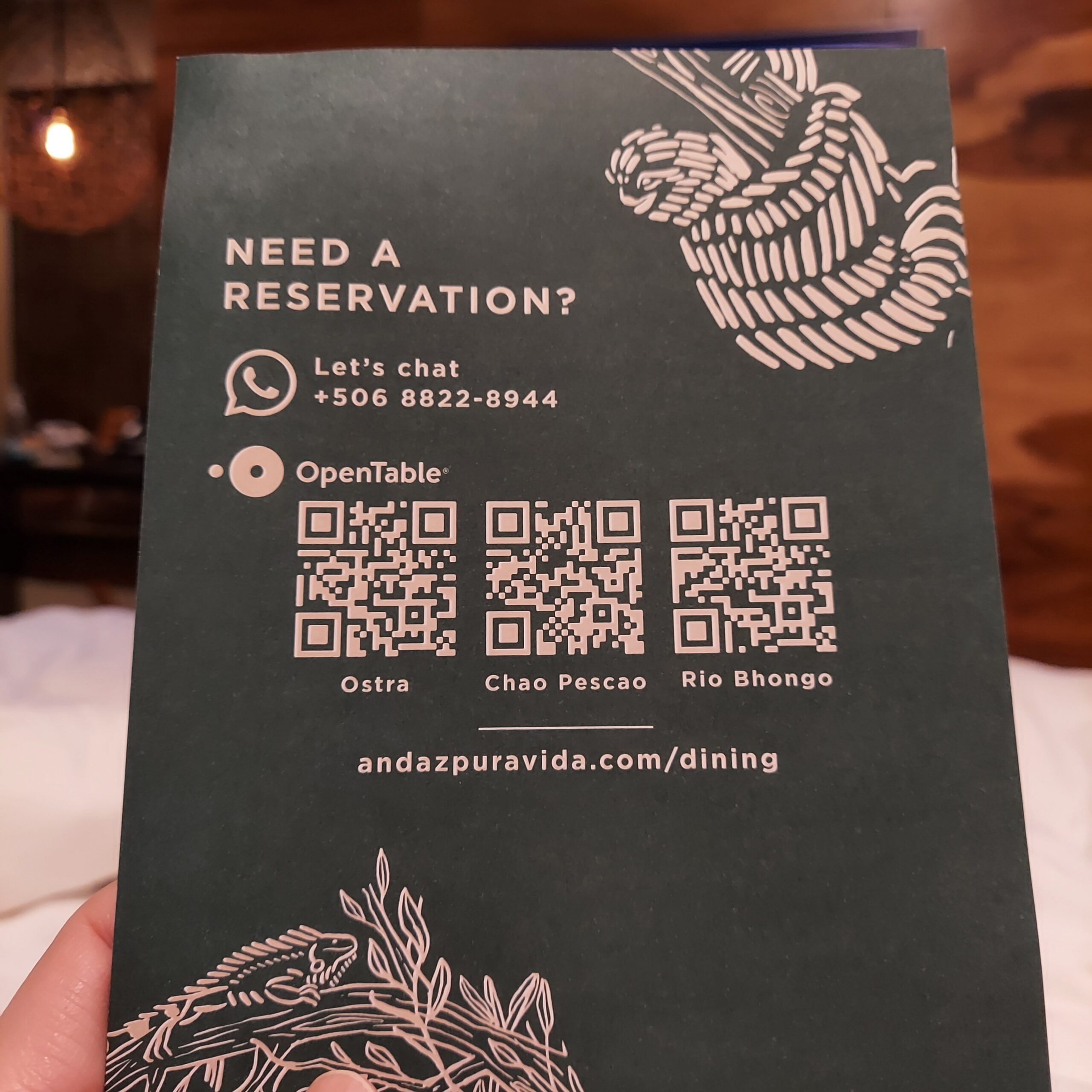 テキスト