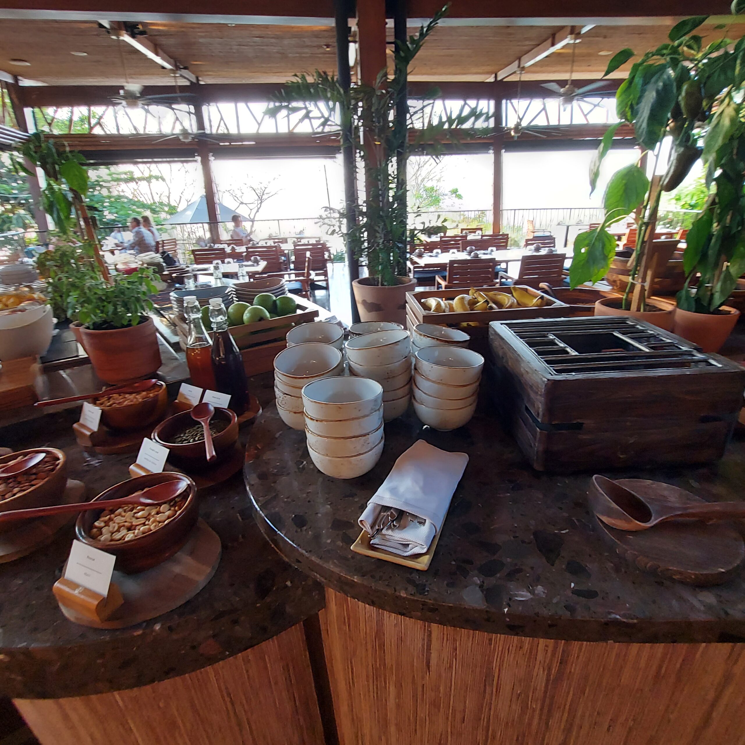木製テーブルの上にある数種類の植物