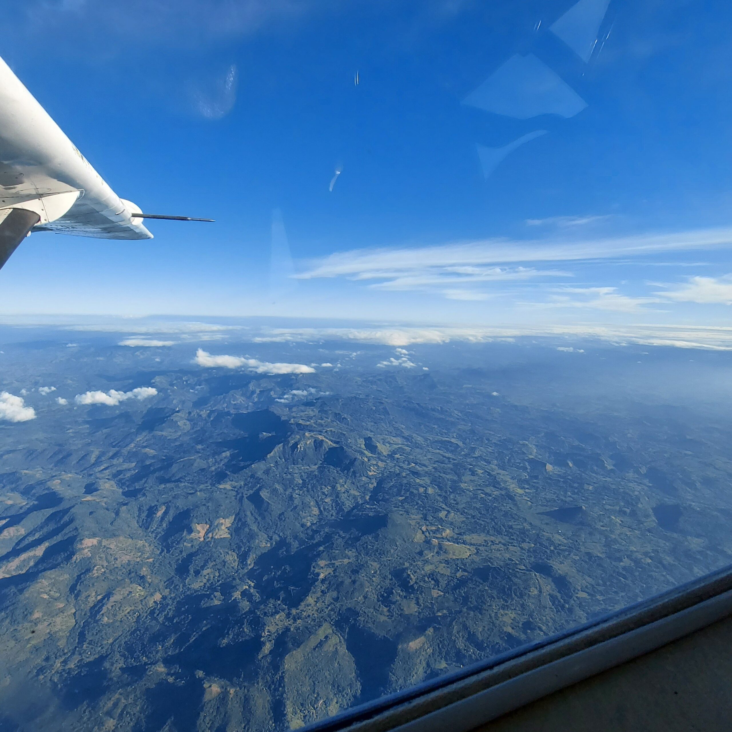 飛行機が空を飛んでいる鳥