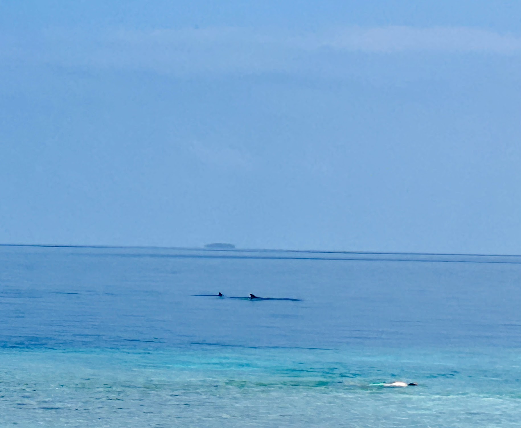 海の上を飛んでいる