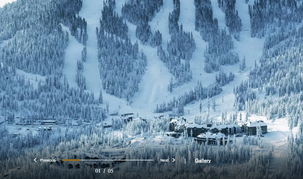 雪が積もった山