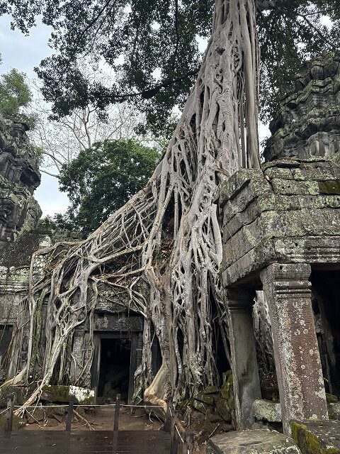 石造りの建物と木々