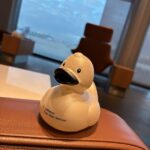 テーブルの上のリモコン