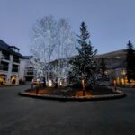 雪が積もっている道