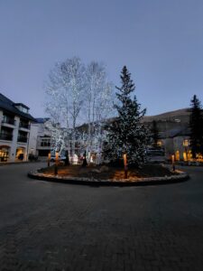 雪が積もっている道