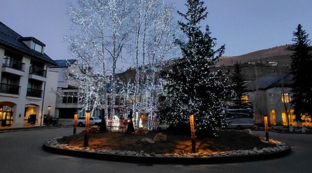 雪が積もっている道