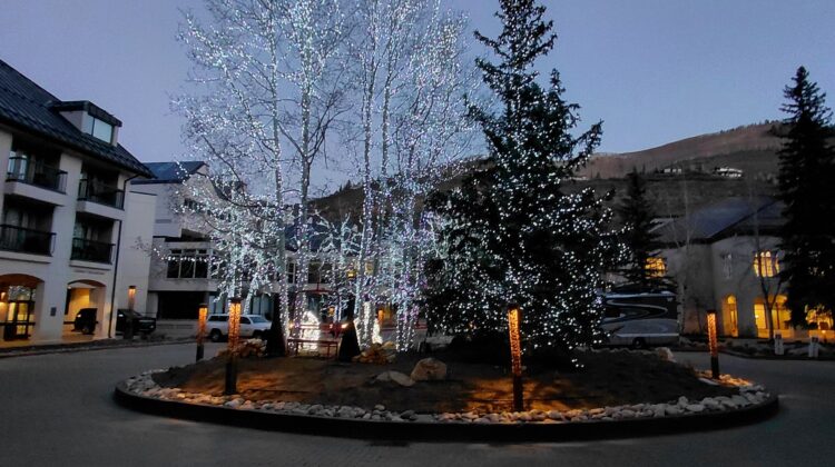 雪が積もっている道