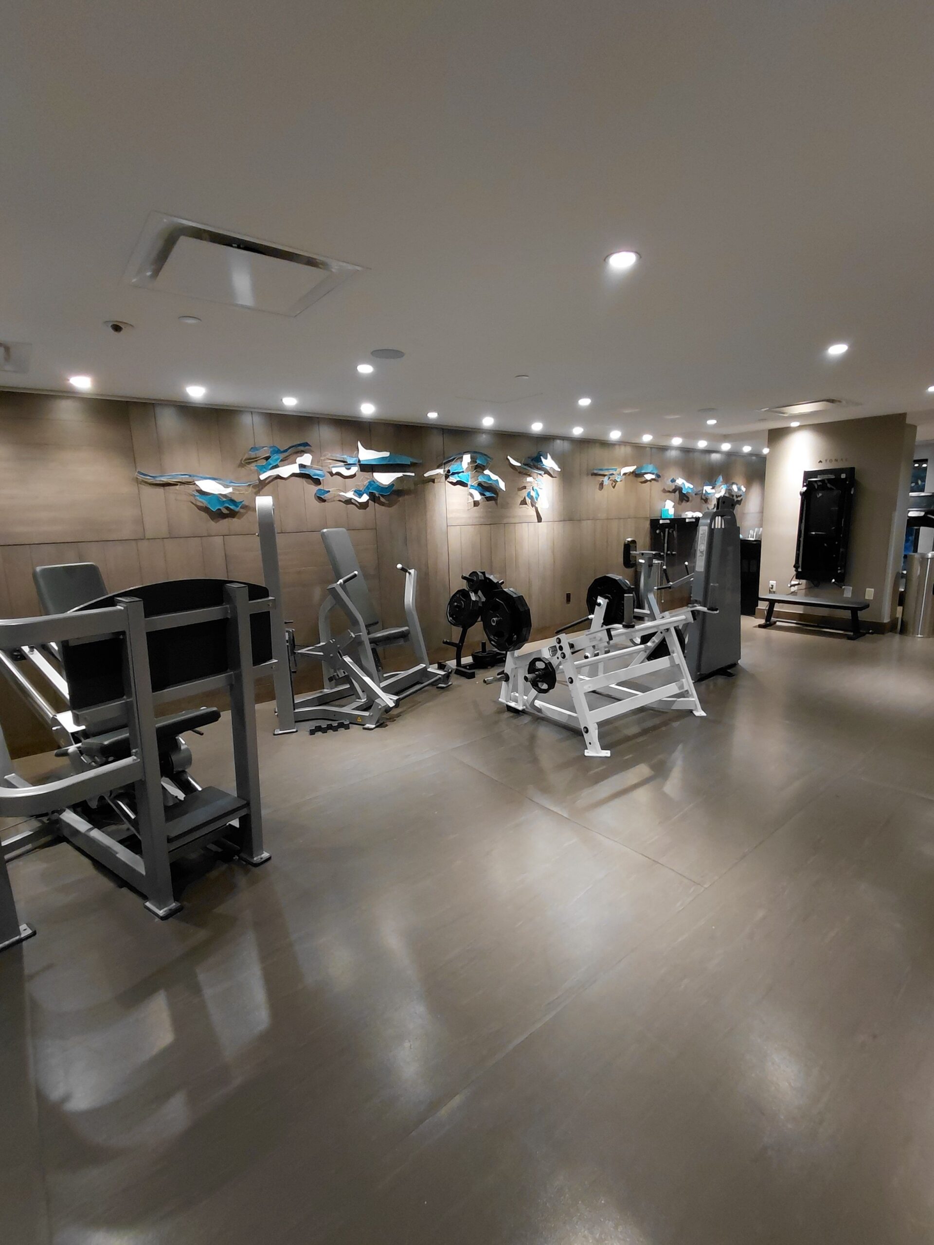 部屋に備えている数々の椅子